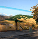GalleryImage